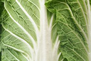 盛岡冷麺と韓国料理の名店「ぴょんぴょん舎」公式ウェブサイト：都南店の魅力と詳細情報